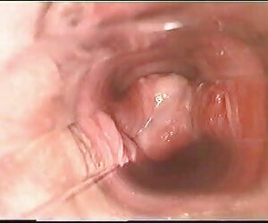Standında ilk kez Gloryhole hd porno izle kızlık bozma